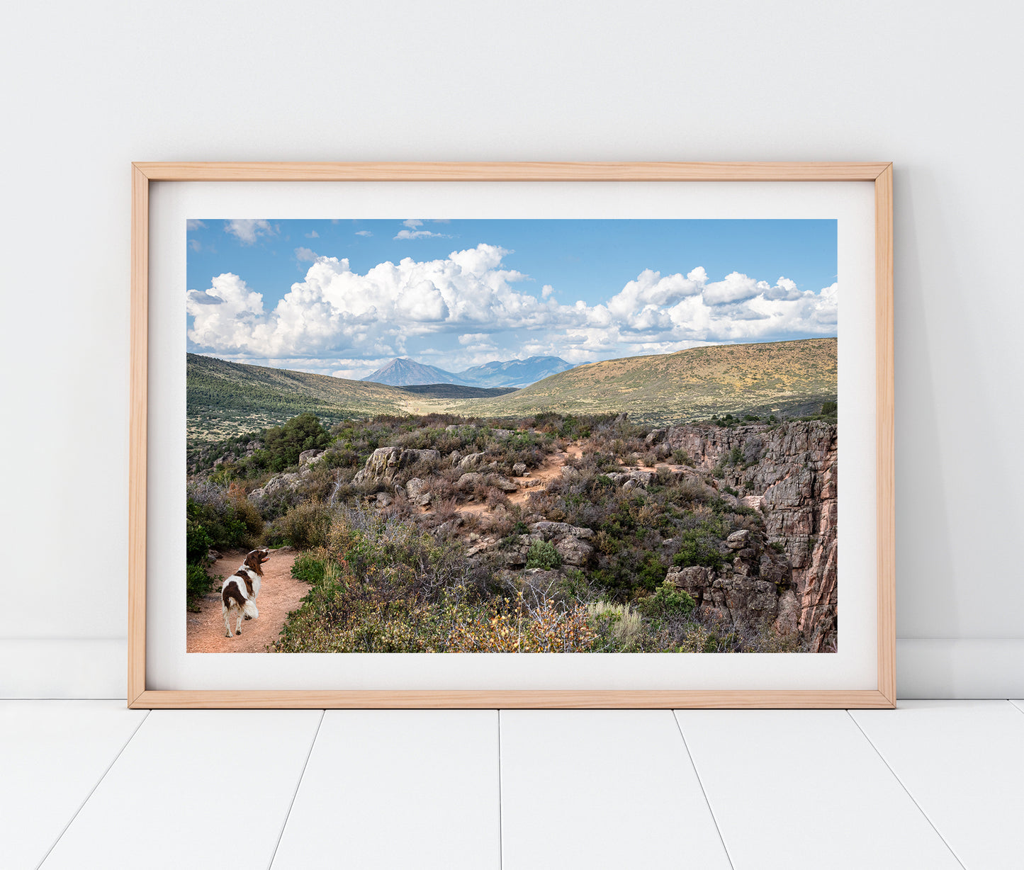 Custom Pet Portrait | Black Canyon Trail Gunnison National Park Colorado Landscape Photo Print