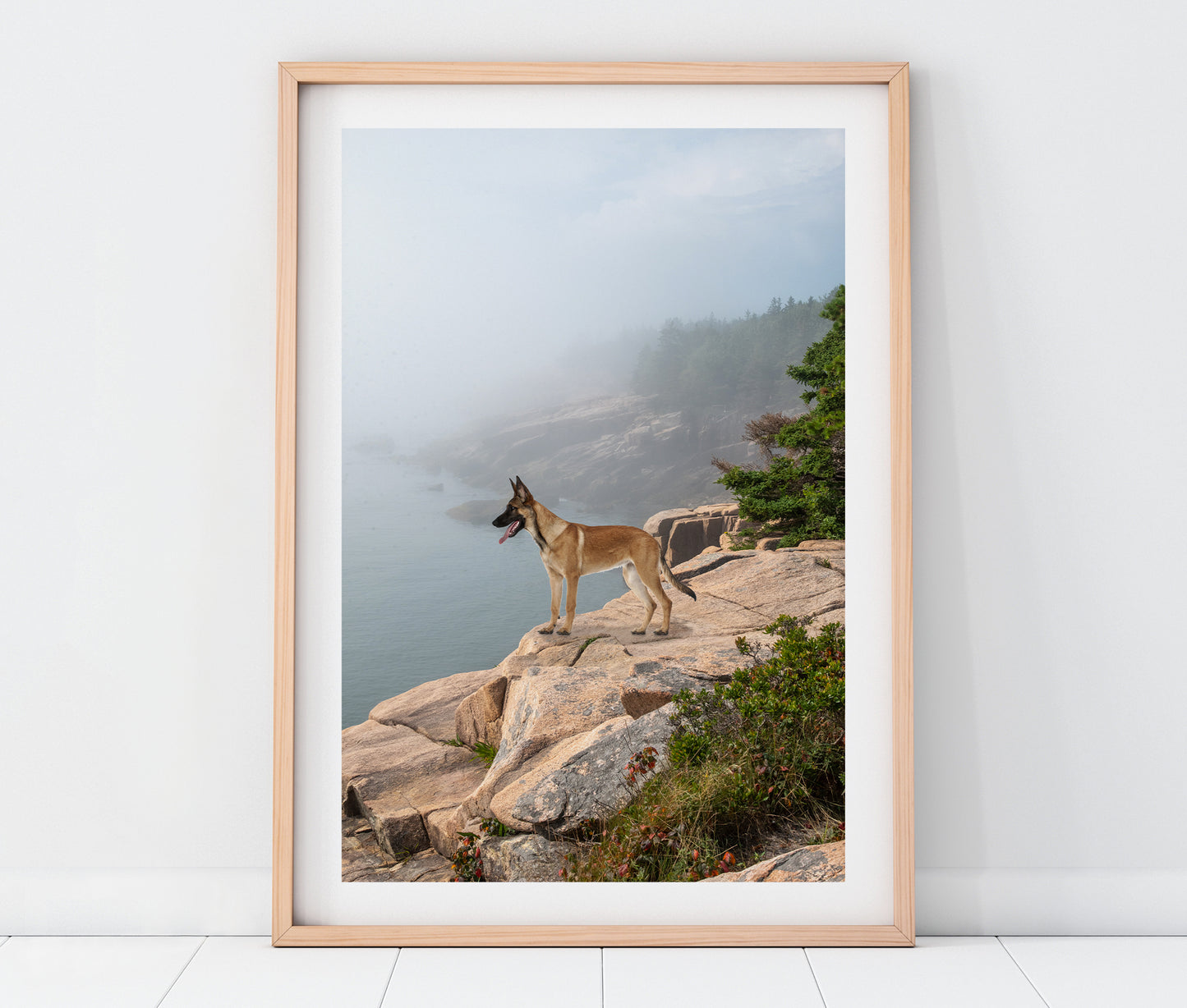 Custom Pet Portrait | Acadia National Park Maine Coastal Landscape Photo Print