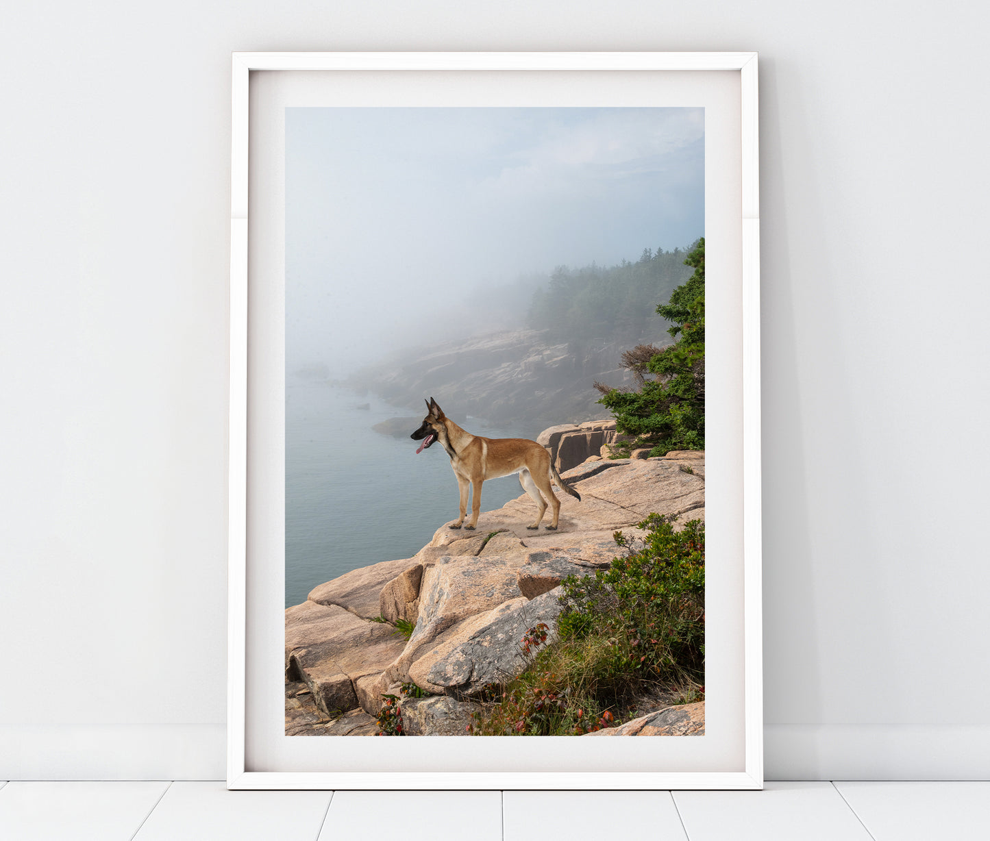 Custom Pet Portrait | Acadia National Park Maine Coastal Landscape Photo Print