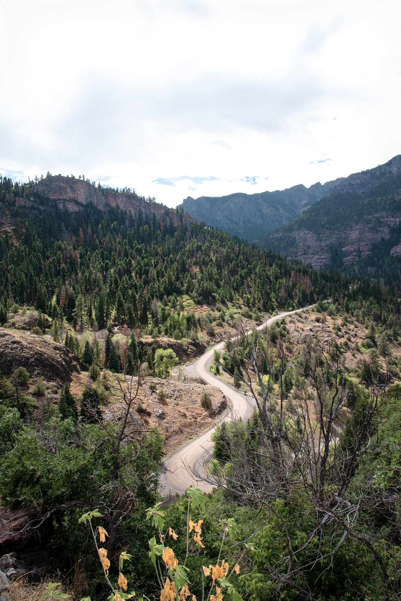 Ouray Colorado Mountain Road Landscape Photo Print (Vertical) | Boho Wall Art