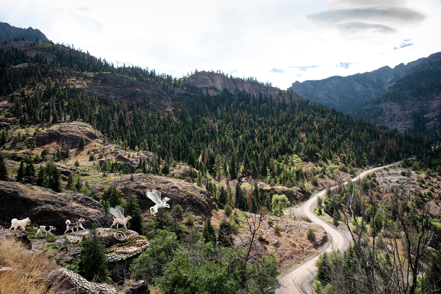 Five Dogs in Whimsical Landscape | Ouray Colorado Landscape Photo Print