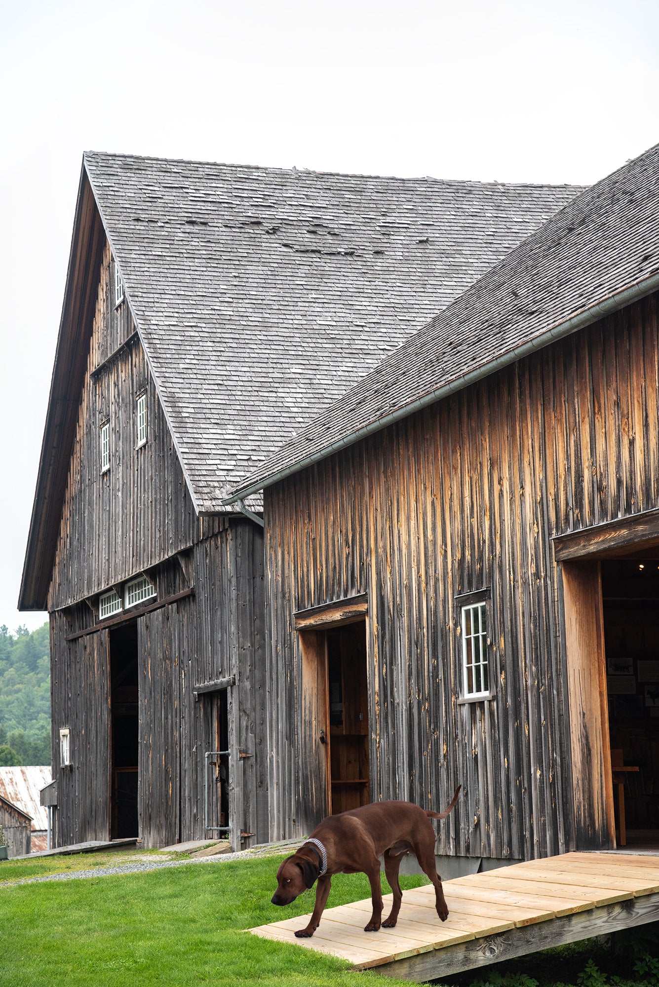 Custom Pet Portrait | President Calvin Coolidge House Plymouth Vermont Landscape Photo Print