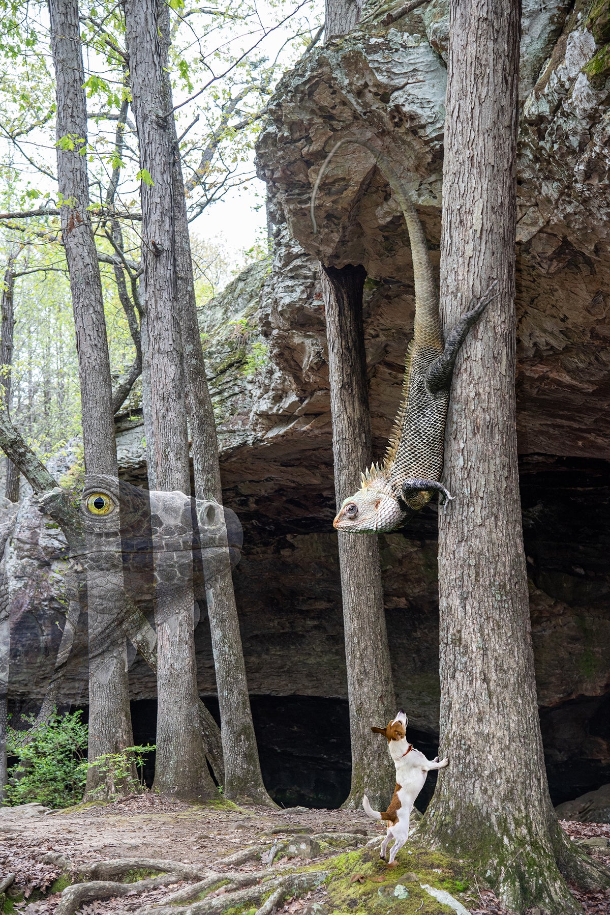 Jack Russell Terrier in Whimsical Landscape | Arkansas Landscape Photo Print