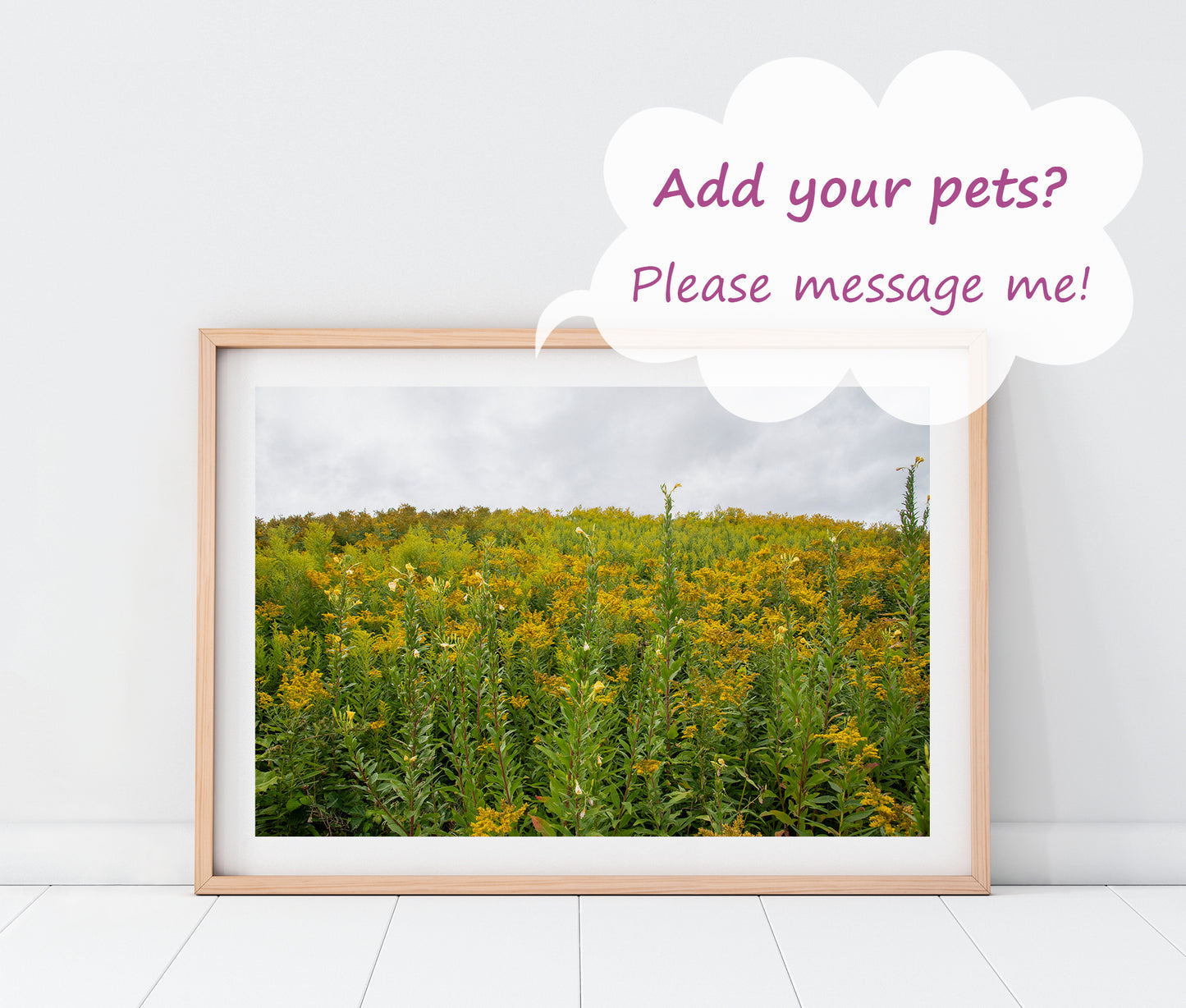 Yellow Flowers Maine Landscape Photography Print + Pets