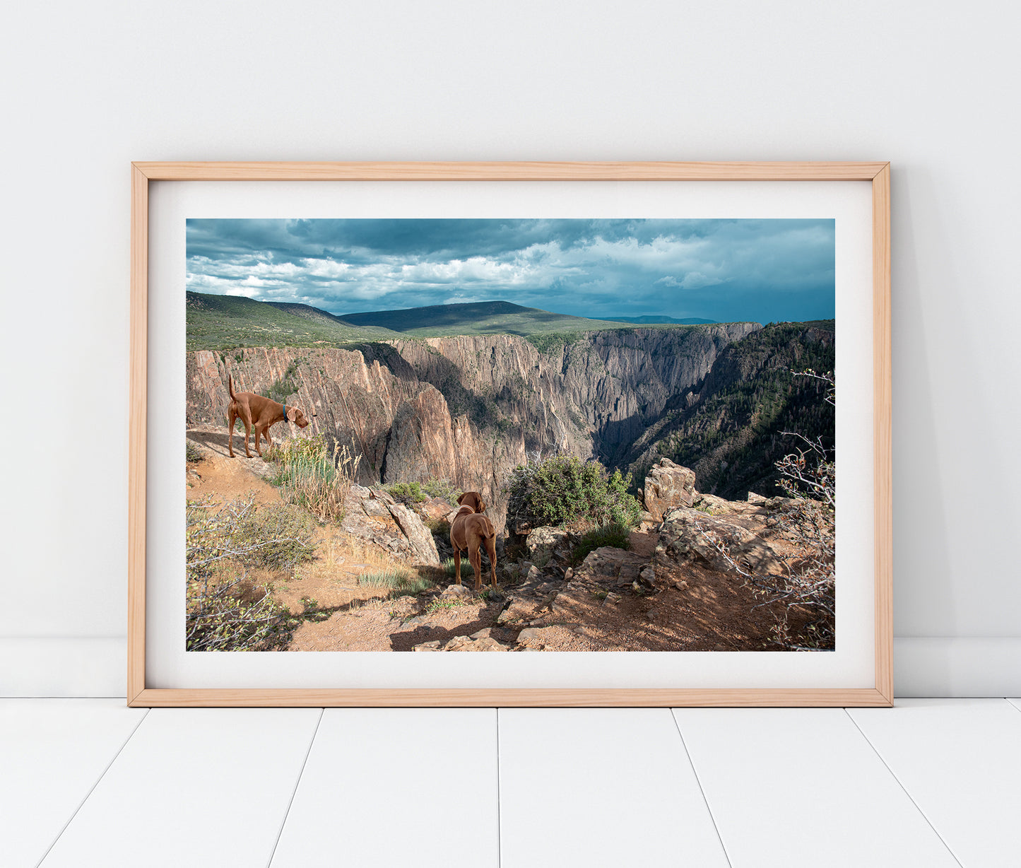 Custom Pet Portrait | Black Canyon Overlook Gunnison National Park Colorado Landscape Photo Print