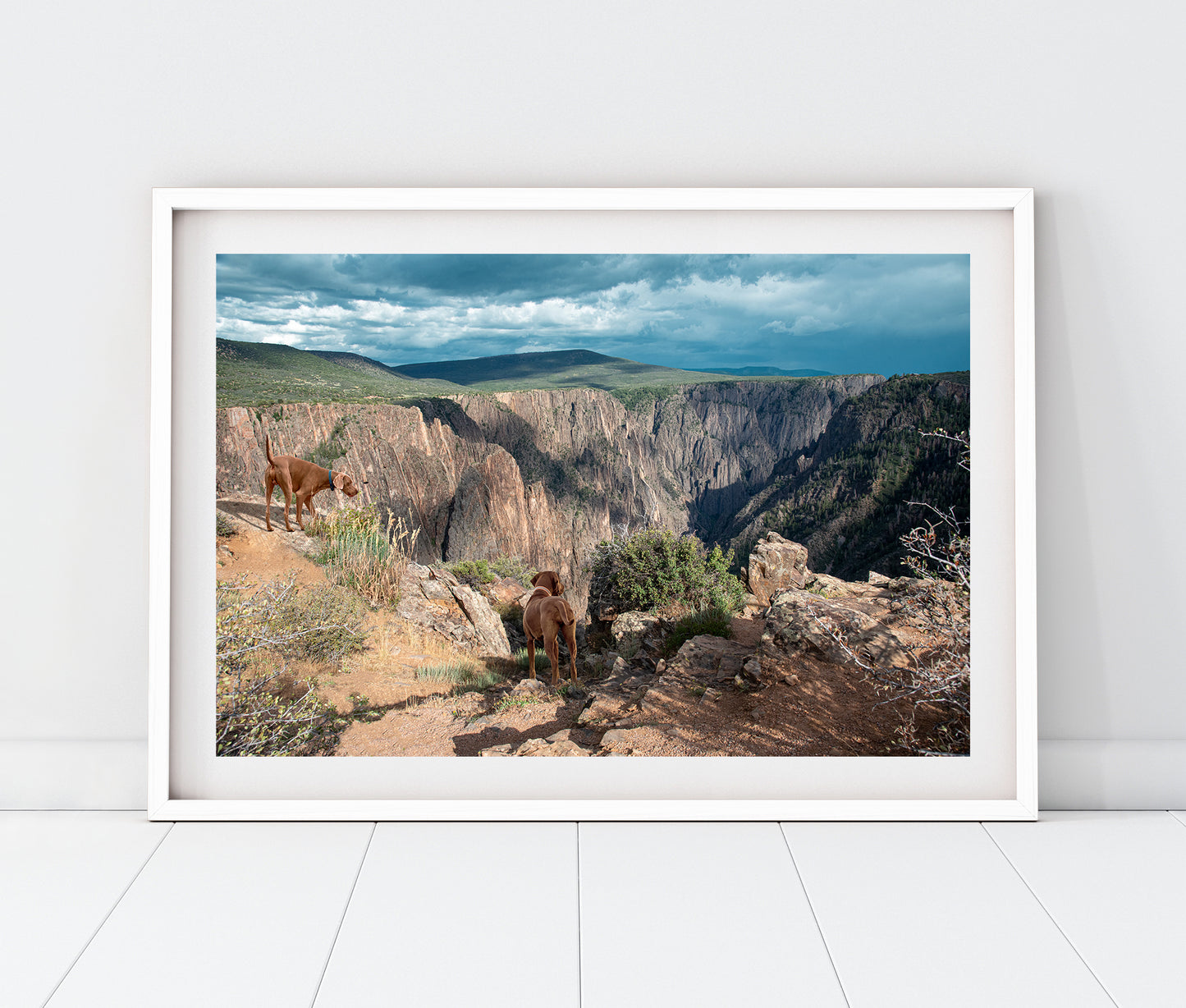 Custom Pet Portrait | Black Canyon Overlook Gunnison National Park Colorado Landscape Photo Print