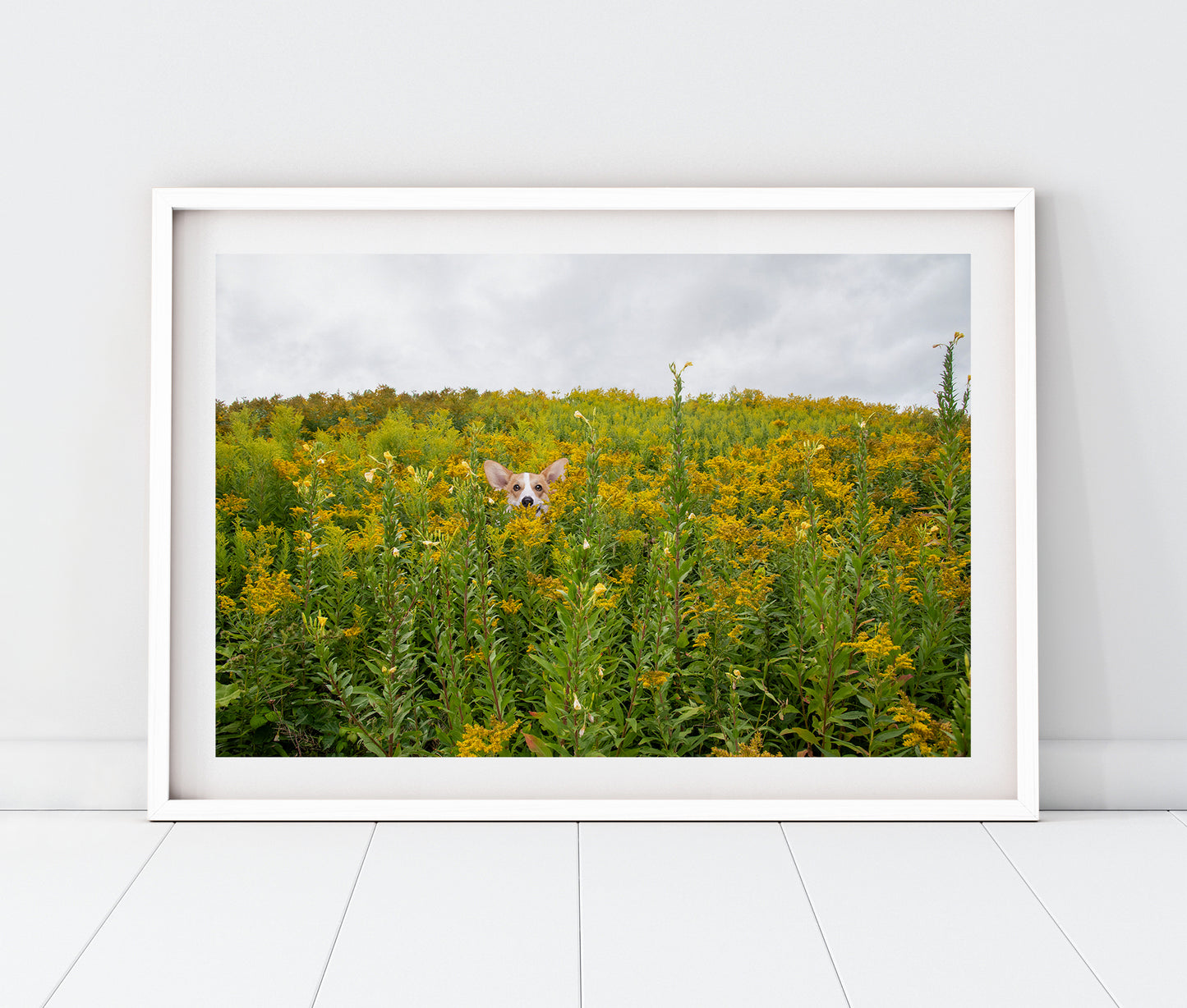 Yellow Flowers Maine Landscape Photography Print + Pets
