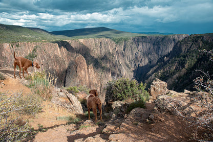 Custom Pet Portrait | Black Canyon Overlook Gunnison National Park Colorado Landscape Photo Print