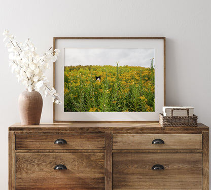 Custom Pet Portrait | Maine Wild Ragweed Yellow Flowers Landscape Photo Print | Boho Wall Art