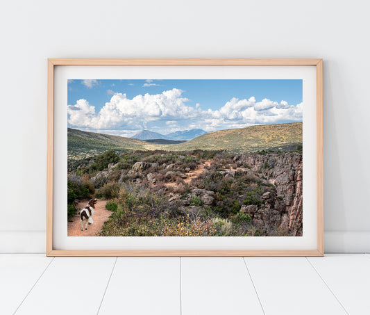Custom Pet Portrait | Black Canyon Trail Gunnison National Park Colorado Landscape Photo Print