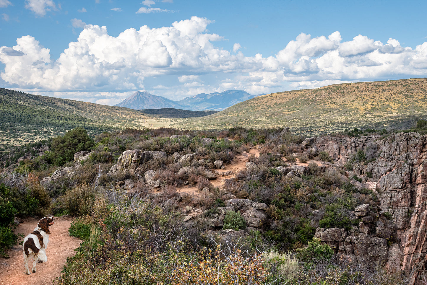 Custom Pet Portrait | Black Canyon Trail Gunnison National Park Colorado Landscape Photo Print