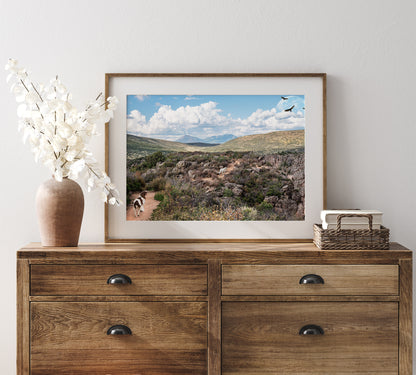 English Springer Spaniel in Whimsical Landscape | Black Canyon Colorado Landscape Photo Print