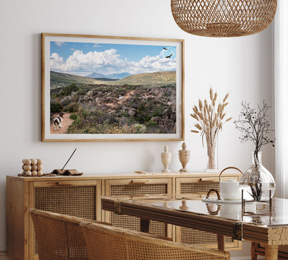 English Springer Spaniel in Whimsical Landscape | Black Canyon Colorado Landscape Photo Print