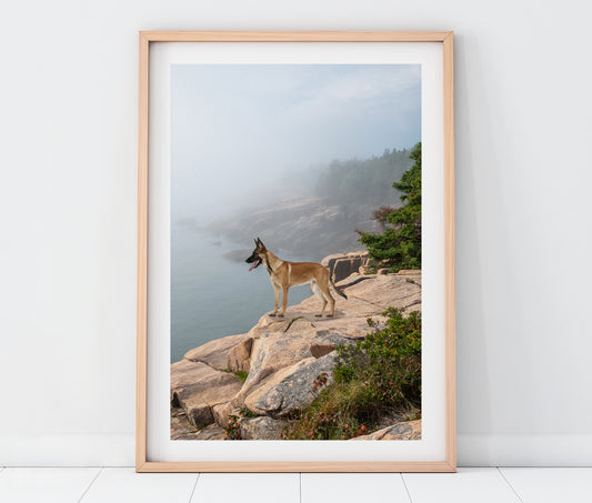 Custom Pet Portrait | Acadia National Park Maine Coastal Landscape Photo Print