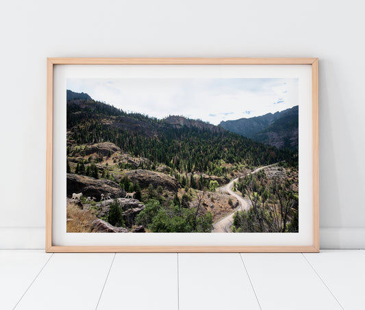 Custom Pet Portrait | Ouray Colorado Mountain Road Landscape Photo Print (Horizontal) | Boho Wall Art