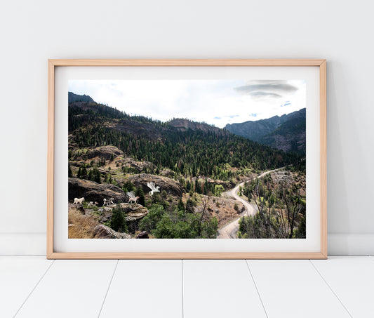 Five Dogs in Whimsical Landscape | Ouray Colorado Landscape Photo Print