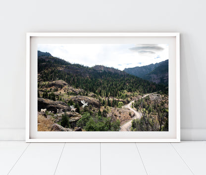 Five Dogs in Whimsical Landscape | Ouray Colorado Landscape Photo Print