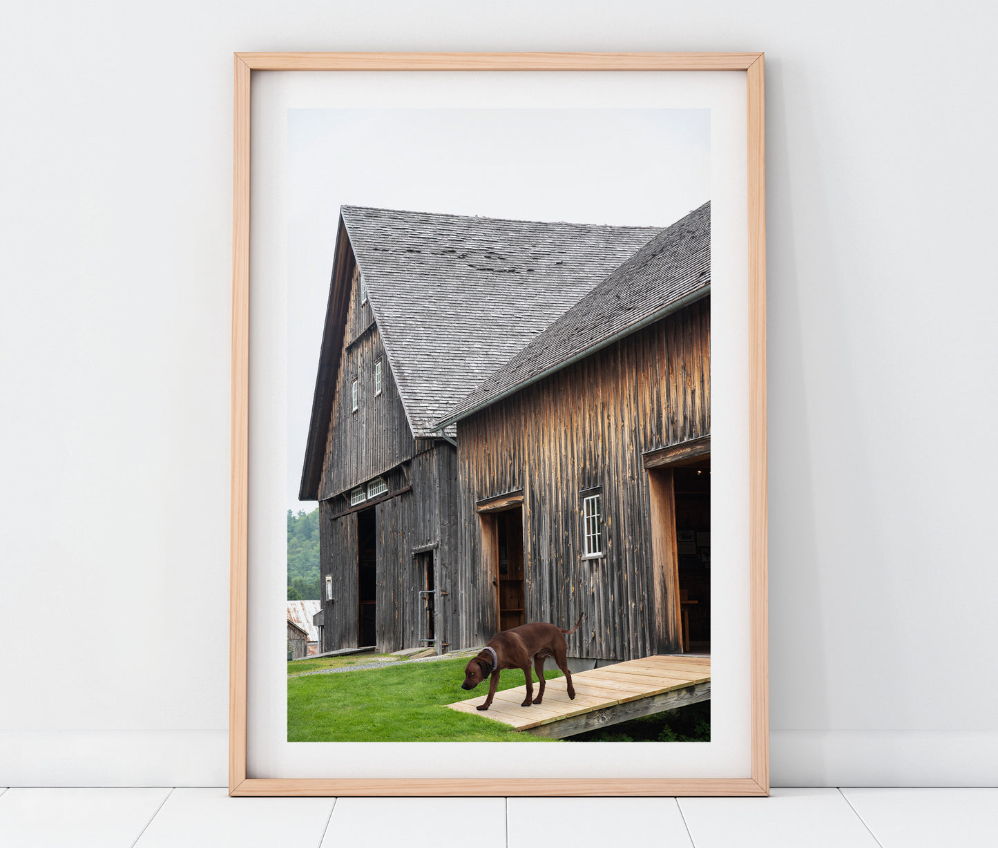 President Calvin Coolidge House Plymouth Vermont Landscape Photography Print + Pets