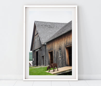 President Calvin Coolidge House Plymouth Vermont Landscape Photography Print + Pets