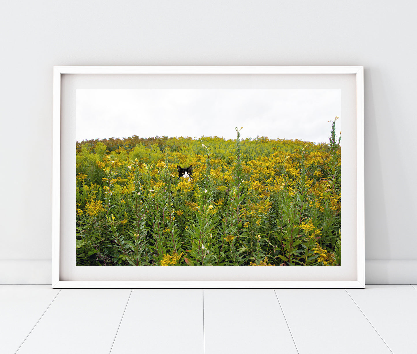 Black Cat & Tuxedo Cat in Whimsical Landscape | Wild Ragweed Yellow Flowers Landscape Photo Print