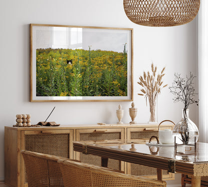 Black Cat & Tuxedo Cat in Whimsical Landscape | Wild Ragweed Yellow Flowers Landscape Photo Print
