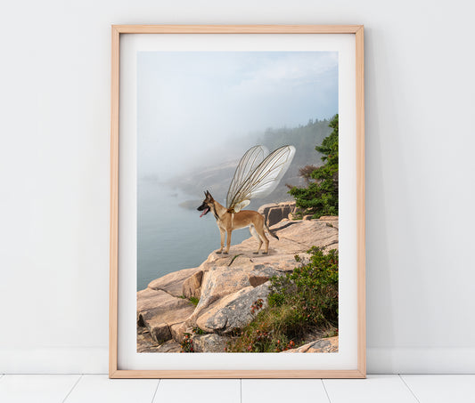 German Shepherd in Whimsical Landscape | Maine Coastal Landscape Photo Print