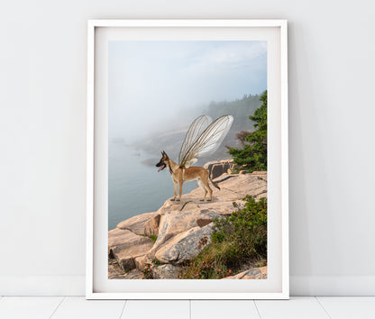 German Shepherd in Whimsical Landscape | Maine Coastal Landscape Photo Print