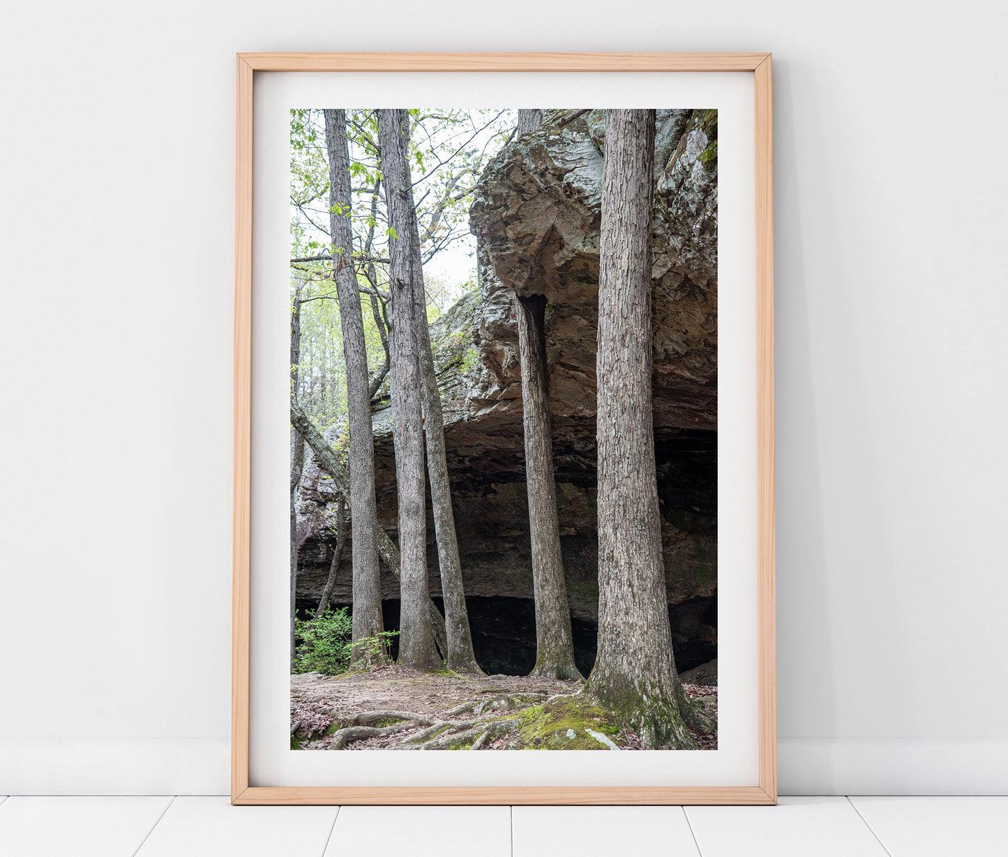Seven Hollows Trail Grotto Photo Print | Petit Jean State Park Arkansas Landscape