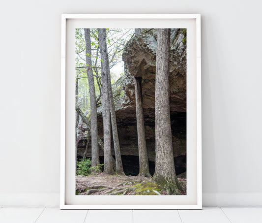 Seven Hollows Trail Grotto Petit Jean State Park Arkansas Landscape Photo Print
