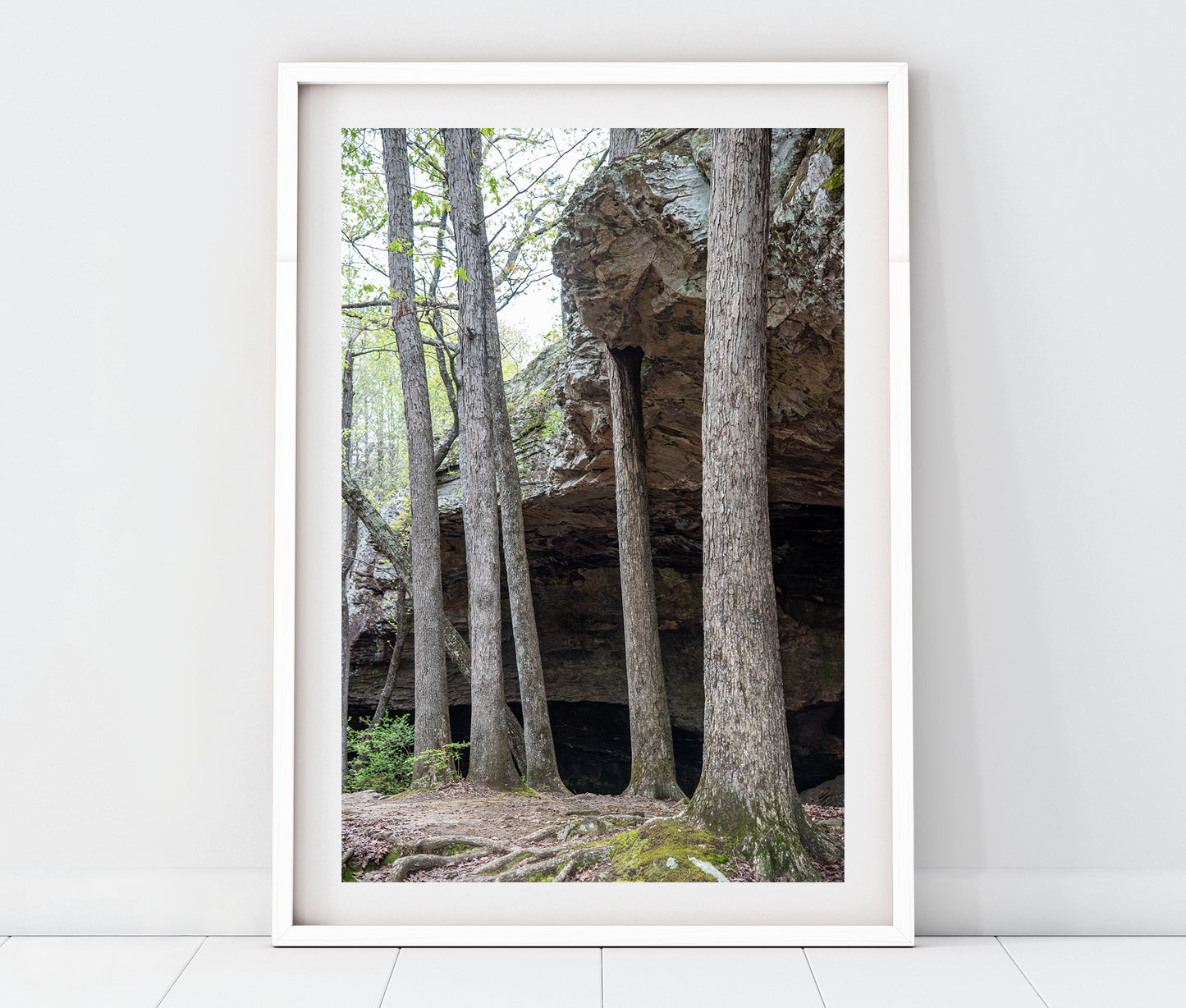 Seven Hollows Trail Grotto Photo Print | Petit Jean State Park Arkansas Landscape