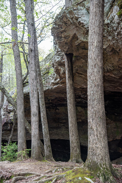 Seven Hollows Trail Grotto Photo Print | Petit Jean State Park Arkansas Landscape