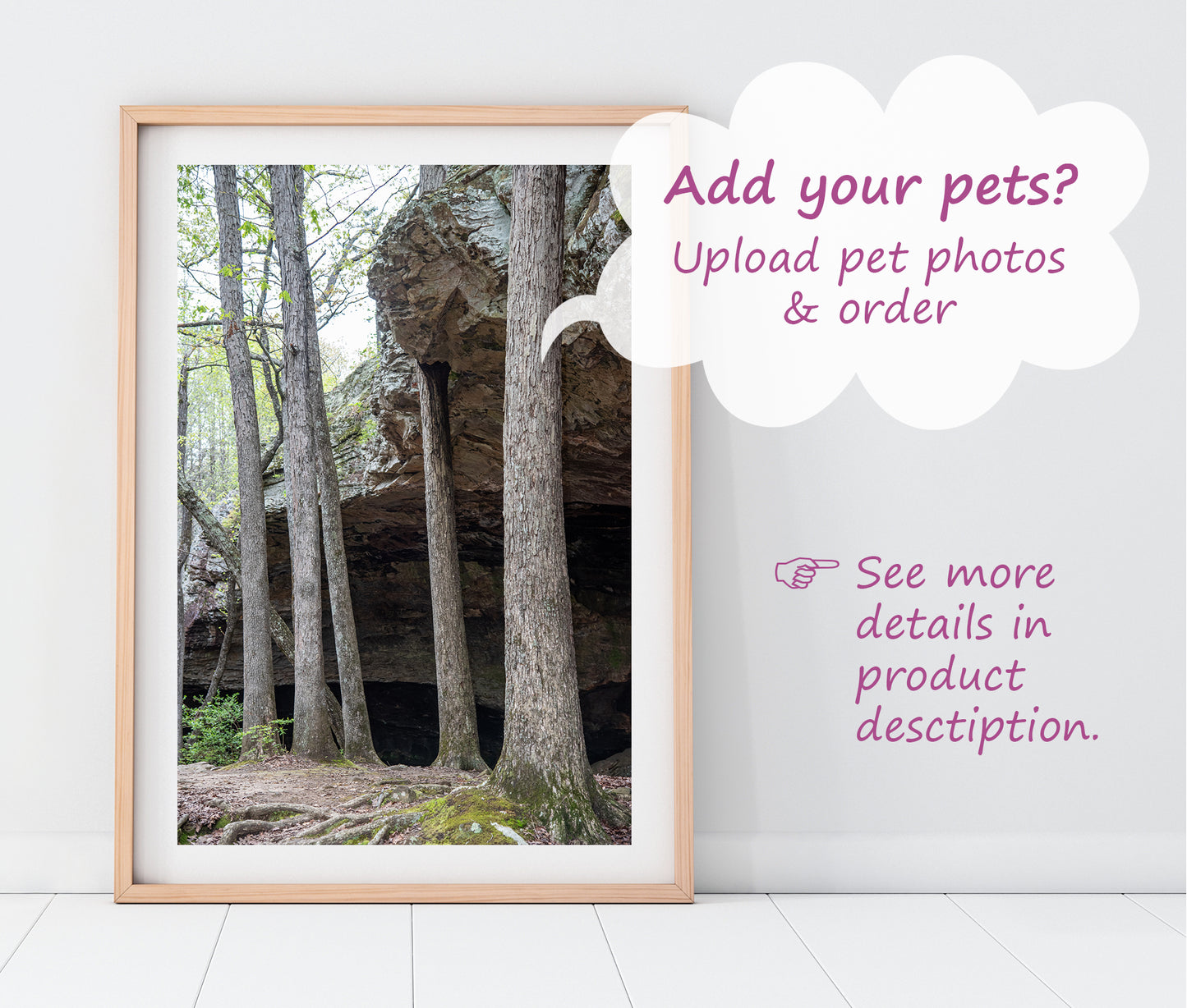 Custom Pet Portrait | Seven Hollows Trail Grotto Petit Jean State Park Arkansas Landscape Photo Print