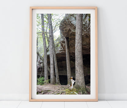 Seven Hollows Trail Grotto Petit Jean State Park Arkansas Landscape Photography Print + Pets