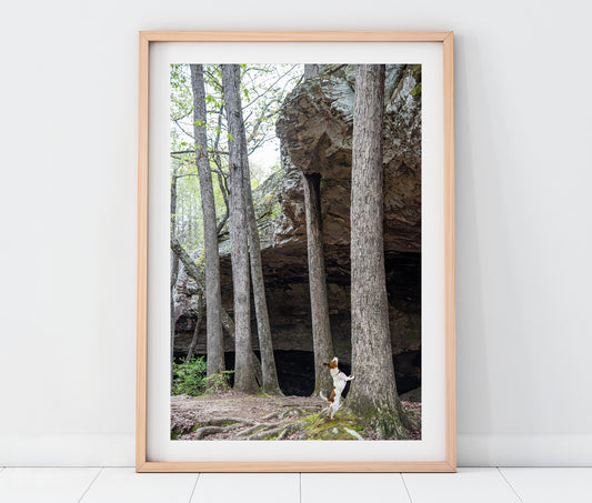 Custom Pet Portrait | Seven Hollows Trail Grotto Petit Jean State Park Arkansas Landscape Photo Print