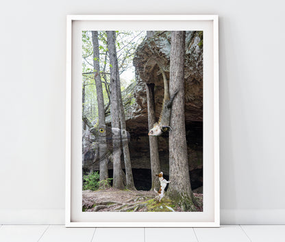 Jack Russell Terrier in Whimsical Landscape | Arkansas Landscape Photo Print