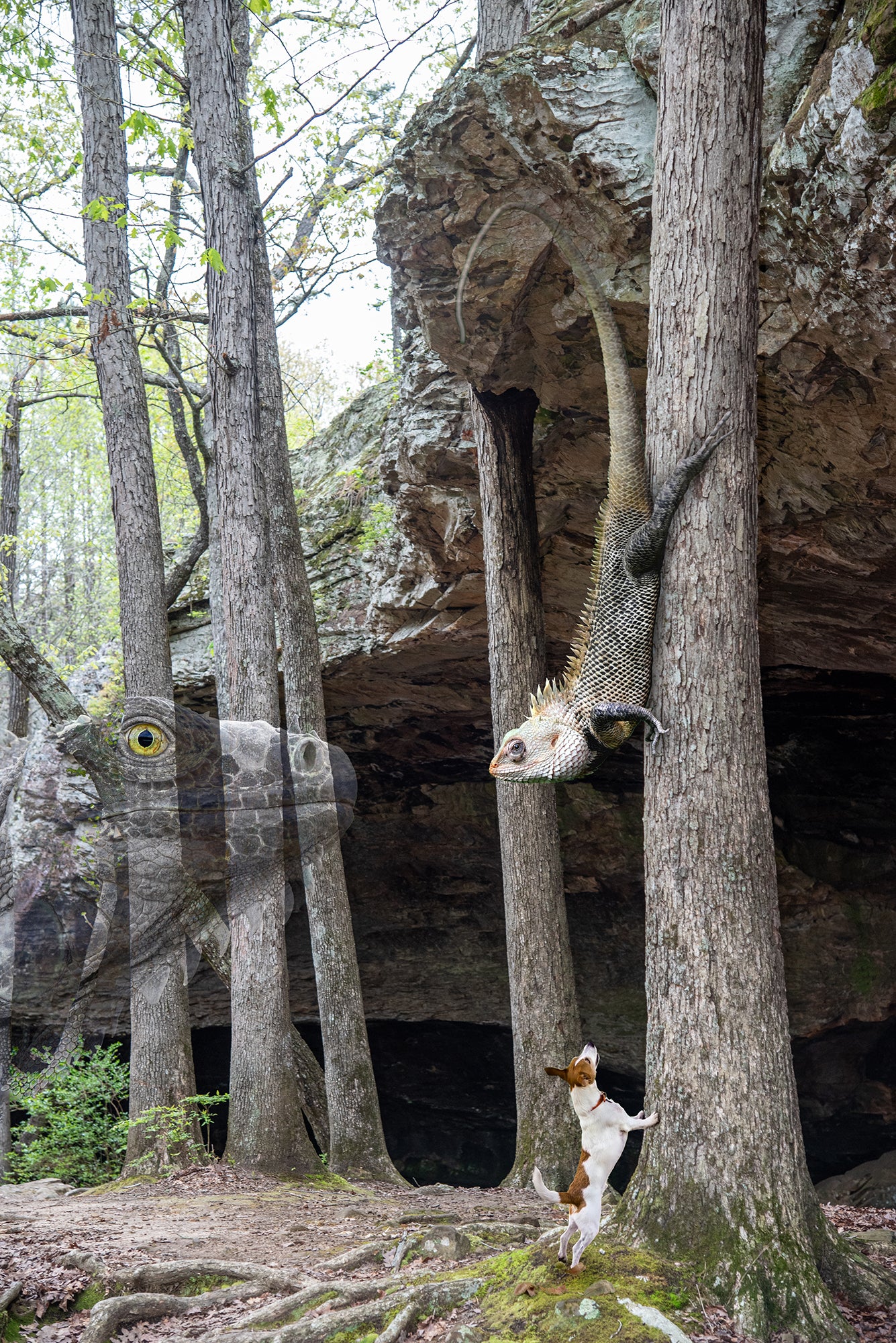 Jack Russell Terrier in Whimsical Landscape | Arkansas Landscape Photo Print