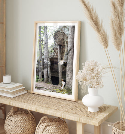 Jack Russell Terrier in Whimsical Landscape | Arkansas Landscape Photo Print